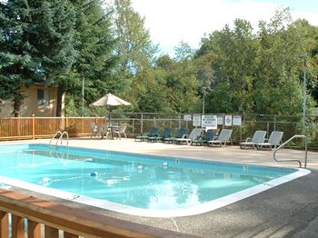 outdoor pool with trees in the background